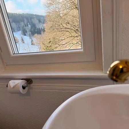 Antique Am Bahndamm * Schmiedefeld am Rennsteig